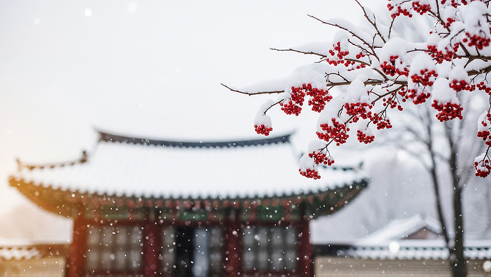 JPG 나무 편집이미지 전통 문화 겨울 자연 한옥 한국 풍경 건물 정원 사찰 눈송이 차가움 기와지붕 고택 눈덮임 편집실사 식물 한국전통 건축물 계절 아시아 컨셉 고건축 종교건축 지붕 눈_날씨 기와 CG 생태계 파일형식