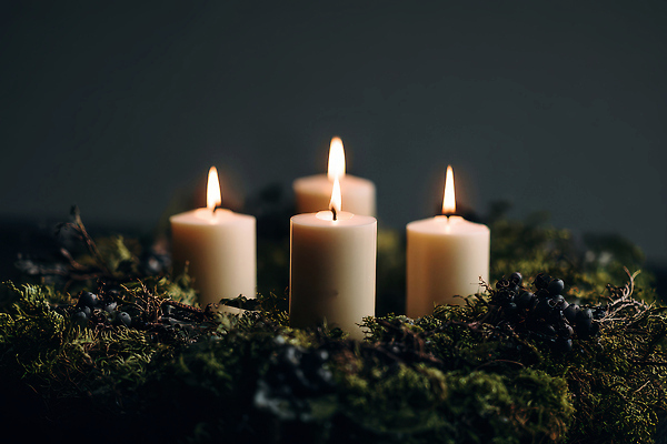 JPG 나무 편집이미지 계절 초 촛불 자연 불 조명 이끼 장식 빛 방 분위기 오브젝트 감성 까막잡기 편집실사 AI포토 AI콘텐츠 자연요소 식물 컨셉 전통놀이 CG 생태계 파일형식