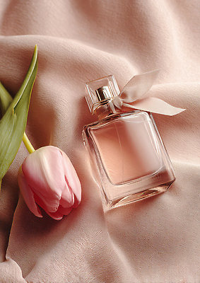 JPG 편집이미지 디자인 꽃 분홍색 컬러 자연 장식 튤립 투명 향수 오브젝트 장면 향 섬유 편집실사 식물 화장품 직물 CG 생태계 파일형식