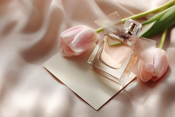 JPG 편집이미지 여자 꽃 리본 분홍색 자연 탁자 일상 장식 튤립 우아함 향수 편지지 오브젝트 부드러움 편집실사 식물 컬러 가구 컨셉 사람 라이프 화장품 감각 편지 CG 생태계 파일형식