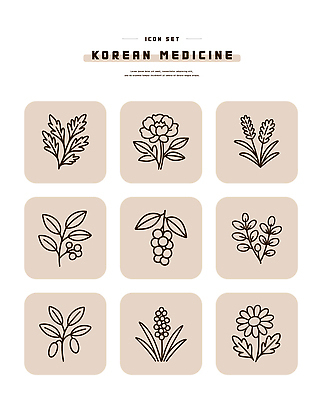 식물 전통 디자인 꽃 일러스트 자연 건강 그래픽 한의학 약초 한약 라인아이콘 그림 심플 한의원 국내일러스트 AI파일 아이콘 의학 병원 약 풀_식물 생태계 파일형식 벡터