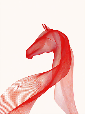 JPG 동물 편집이미지 디자인 예술 선 백그라운드 추상 새해 빨간색 조형물 머리 말_동물 우아함 역동적 말띠 단순화된 이미지편집 병오년 붉은말 컬러 컨셉 무늬 포유류 미술 신체부위 십이지신 파일형식 2026년