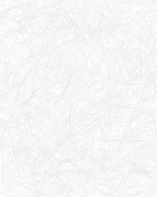 JPG 편집이미지 디자인 예술 백그라운드 패턴 장식 흰색 표현 배열 한지 질감 섬유 대칭 불규칙 이미지편집 AI컴퓨터그래픽 AI콘텐츠 종이 컬러 컨셉 무늬 직물 파일형식