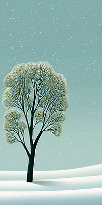 JPG 나무 계절 잎 겨울 일러스트 자연 하늘 바람 날씨 풍경 초원 환경 고요 흰색 장면 나무그늘 풍경화 국내일러스트 자연요소 식물 컬러 그늘 그림 생태계 파일형식