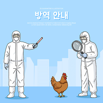 일러스트 모션 거리 안내 건강 안전 사람 농장 환경 도시 닭 위생 축산업 질병 검사_조사 예방 감염 방역 정부 조류독감 코로나바이러스 방역복 지역사회 국내일러스트 AI파일 옷 산업 농업 의학 조류 바이러스 전염병 파일형식 벡터