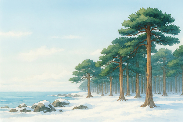 JPG 나무 바다 겨울 일러스트 자연 풍경 해변 돌_바위 소나무 숲 곶감 수평선 국내일러스트 AI일러스트 AI콘텐츠 식물 계절 감 생태계 건과일 파일형식