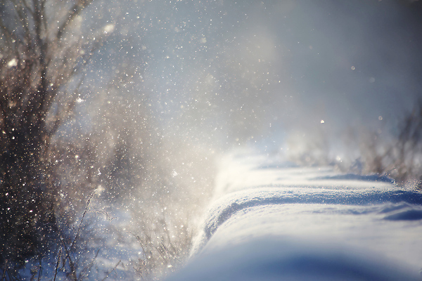 JPG 나무 편집이미지 겨울 자연 하늘 날리기 바람 산 풍경 걷기 소리 입자 차가움 땅 송이 편집실사 AI포토 AI콘텐츠 자연요소 식물 계절 모션 날씨 CG 생태계 파일형식