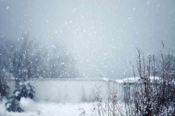 JPG 나무 편집이미지 겨울 자연 하늘 바람 날씨 눈꽃 풍경 흰색 오후 편집실사 AI포토 AI콘텐츠 자연요소 식물 계절 컬러 눈_날씨 CG 생태계 파일형식