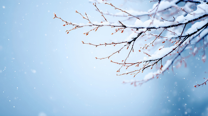 자연요소 나무 계절 컬러 날씨 눈_날씨 CG 생태계 파일형식 겨울 나뭇가지 눈송이 백그라운드 파란색 자연 풍경 차가움 바람 산 편집실사 JPG 편집이미지 눈