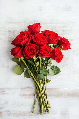 식물 꽃 감정 탁자 CG 생태계 파일형식 AI콘텐츠 꽃다발 나무탁자 장미 조명 장식 선물 자연 뷰티풀 생화 사랑 편집이미지 편집실사 JPG AI포토