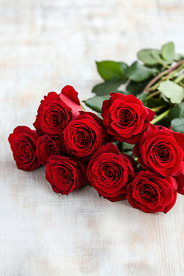 식물 기념일 꽃 감정 결혼 이벤트 CG 생태계 파일형식 AI콘텐츠 장미 꽃다발 잎 자연 뷰티풀 장식 선물 결혼식 사랑 생일 편집이미지 편집실사 JPG AI포토