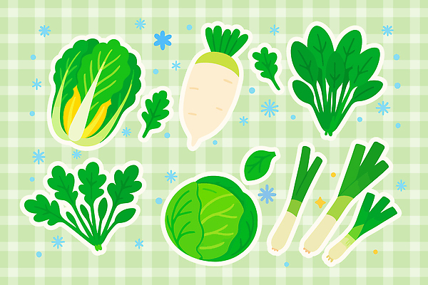 식물 백그라운드 겨울 채소 일러스트 자연 건강 요리 초록색 농작물 신선 무 배추 겨울음식 체크무늬 파 쑥갓 시금치 생채 아욱 제철음식 국내일러스트 AI파일 계절 음식 컬러 무늬 농업 뿌리채소 생태계 제철 파일형식 벡터