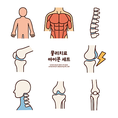 신체 일러스트 근육 그래프 뼈 치료 정보 구출 척추 그림 관절 구성 물리치료 코르셋 Anatomy 국내일러스트 AI파일 의학 도움 파일형식 벡터