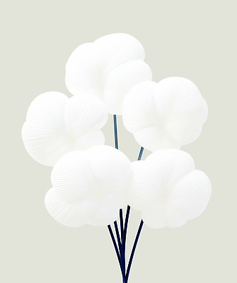 JPG 모양 식물 디자인 꽃 예술 줄기 컬러 꽃다발 백그라운드 일러스트 자연 생명 장식 정원 주위 손질 조화 단순화된 스타일 국내일러스트 클라우드댄서 생태계 파일형식 트렌드컬러 2026트렌드