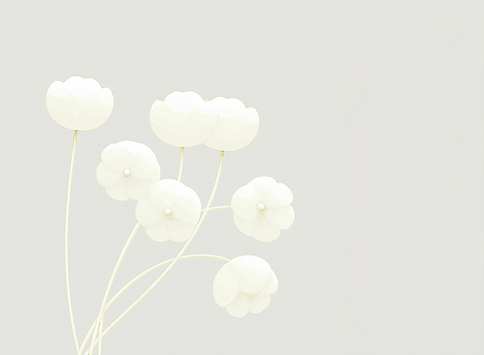 JPG 모양 식물 디자인 꽃 화초 예술 줄기 백그라운드 일러스트 자연 실내 장식 여름 정원 봄 흰색 부드러움 기하학 조화 구성 단순화된 국내일러스트 클라우드댄서 계절 컬러 무늬 내부 감각 생태계 파일형식 트렌드컬러 2026트렌드