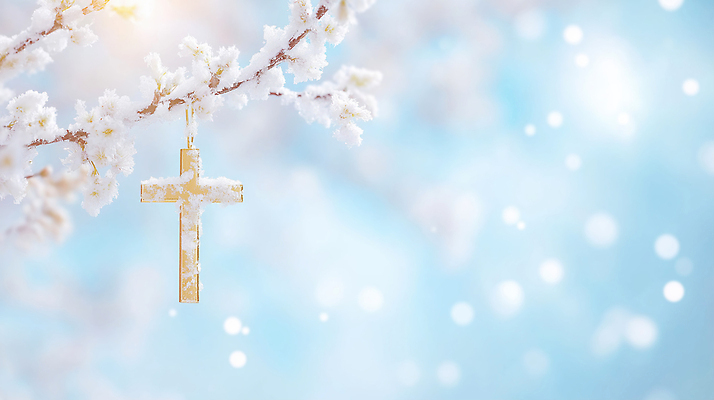 JPG 편집이미지 기독교 종교 십자가 크리스마스 겨울 자연 하늘 풍경 장식 빛 금속 나뭇가지 차가움 흐림 이미지편집 나무 계절 기념일 재질 날씨 생태계 파일형식