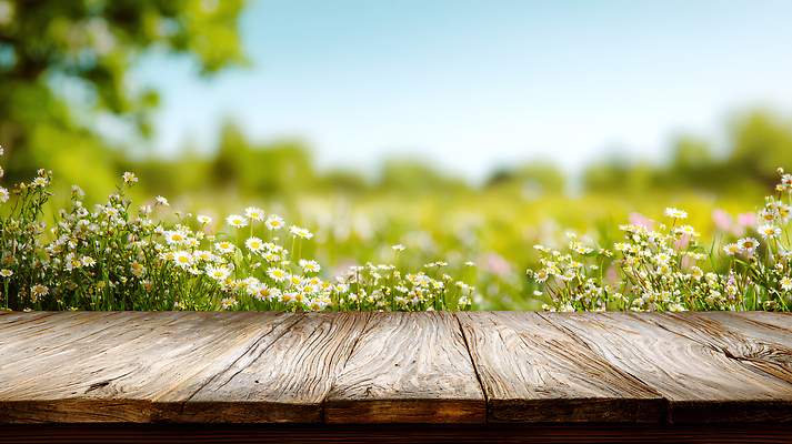 JPG 나무 편집이미지 꽃 자연 하늘 거리 풍경 초원 야외 초록색 농장 봄 들꽃 구조물 나무탁자 편집실사 AI컴퓨터그래픽 AI콘텐츠 식물 계절 건축 컬러 농업 탁자 CG 생태계 파일형식