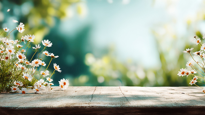 JPG 나무 식물 편집이미지 꽃 꽃밭 자연 생명 휴식 풍경 햇빛 환경 정원 오후 편집실사 AI컴퓨터그래픽 AI콘텐츠 컨셉 태양 CG 생태계 파일형식