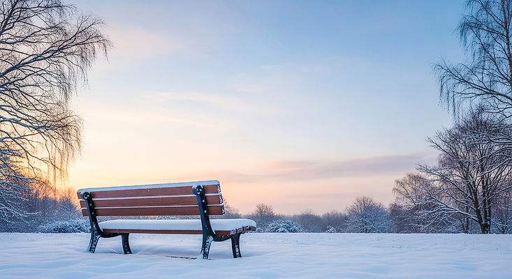 JPG 나무 편집이미지 공원 겨울 벤치 자연 하늘 휴식 풍경 산책 나뭇가지 저녁 편집실사 AI포토 AI콘텐츠 식물 계절 공공시설 컨셉 의자 야간 CG 생태계 파일형식