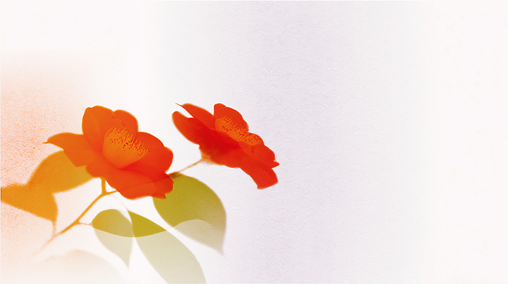 JPG 식물 디자인 꽃잎 꽃 예술 컬러 백그라운드 잎 일러스트 자연 생명 빨간색 여름 정원 감상 원예 동백 조화 단순화된 뷰티풀 국내일러스트 AI일러스트 AI콘텐츠 계절 취미 생태계 파일형식