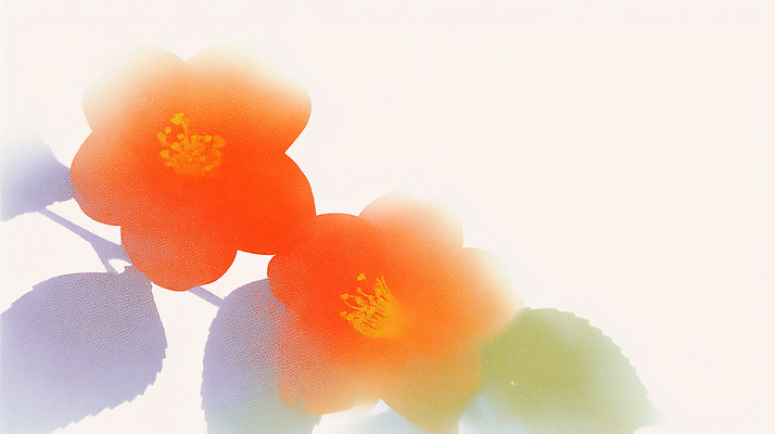 JPG 모양 식물 계절 꽃 컬러 백그라운드 잎 일러스트 자연 생명 일상 여름 주황색 장면 부드러움 동백 뷰티풀 국내일러스트 AI일러스트 AI콘텐츠 라이프 감각 생태계 파일형식