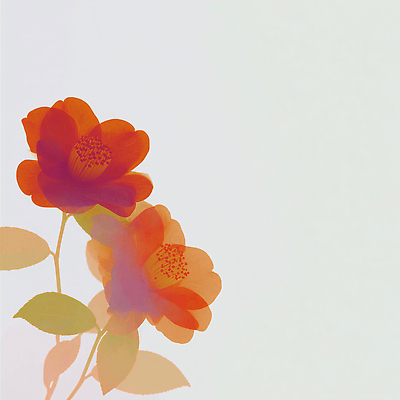 JPG 식물 꽃잎 꽃 줄기 컬러 백그라운드 잎 일러스트 자연 생명 풍경 여름 정원 봄 원예 식물원 동백 조화 뷰티풀 국내일러스트 AI일러스트 AI콘텐츠 계절 취미 생태계 파일형식