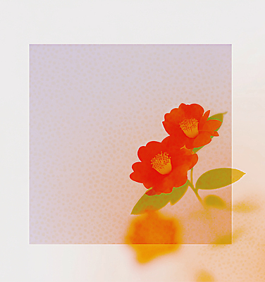 JPG 식물 꽃 화초 예술 꽃다발 백그라운드 잎 일러스트 자연 생명 나뭇잎 조명 장식 빨간색 정원 두송이 캔버스 동백 조화 뷰티풀 색감 국내일러스트 AI일러스트 AI콘텐츠 컬러 2 생태계 파일형식