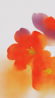 JPG 모양 식물 디자인 계절 꽃 예술 컬러 백그라운드 일러스트 자연 생명 보라색 주황색 흰색 관찰 동백 조화 뷰티풀 국내일러스트 AI일러스트 AI콘텐츠 모션 생태계 파일형식