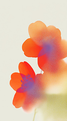 JPG 식물 디자인 시선 꽃 감정 예술 컬러 백그라운드 일러스트 자연 생명 보라색 주황색 표현 순수 동백 흐림 뷰티풀 생동감 스타일 국내일러스트 AI일러스트 AI콘텐츠 컨셉 날씨 생태계 파일형식