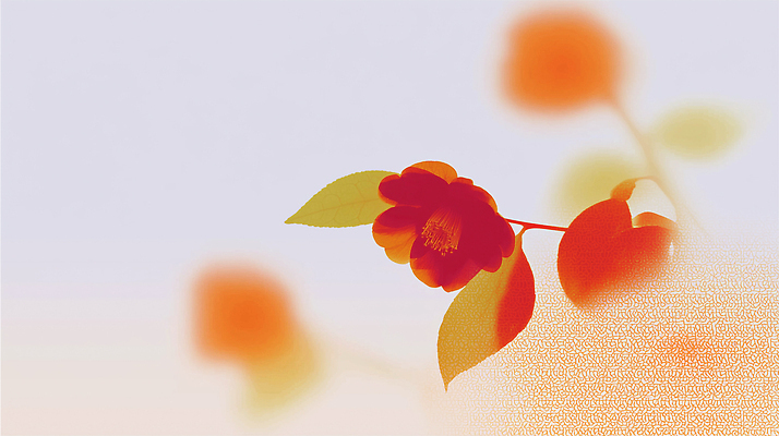 JPG 나무 식물 계절 꽃잎 꽃 컬러 백그라운드 잎 일러스트 자연 생명 풍경 환경 산책 장면 화사함 동백 조화 뷰티풀 색감 국내일러스트 AI일러스트 AI콘텐츠 컨셉 휴식 생태계 파일형식