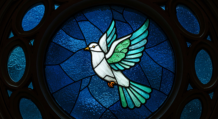 JPG 편집이미지 디자인 기독교 예술 상징 컬러 백그라운드 날개 창문 조명 파란색 원형 비둘기 돔 스테인드글라스 색유리 편집실사 AI컴퓨터그래픽 AI콘텐츠 도형 건축물 종교 유리 조류 CG 파일형식