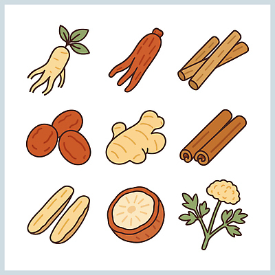전통 음식 일러스트 재료 자연 한국 건강 요리 한의학 약재 한약재 기도 인삼 약초 다도 한의원 손질 생강 시나몬 국내일러스트 AI파일 아시아 채소 의학 병원 약 예절 풀_식물 삼 생태계 파일형식 벡터
