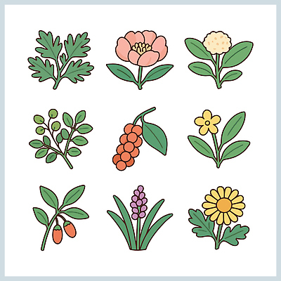 모양 식물 디자인 꽃 예술 줄기 컬러 잎 일러스트 자연 생명 그래픽 다양 원형 배열 그림 원예 한의원 조화 뷰티풀 국내일러스트 AI파일 도형 다수 병원 취미 생태계 파일형식 벡터
