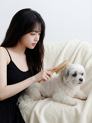 JPG 편집이미지 여자 반려견 모션 털 실내 사랑 일상 반려동물 소파 시간 붓 강아지 즐거움 빗질 보살핌 의료성형뷰티 편집실사 AI인물포토 AI콘텐츠 동물 감정 의자 사람 내부 라이프 개 CG 파일형식 AI포토