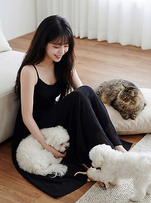 JPG 편집이미지 여자 행복 반려견 놀이 실내 웃음 친구 반려동물 소파 장난감 고양이 주인 교감 의료성형뷰티 편집실사 AI인물포토 AI콘텐츠 동물 감정 의자 포유류 관계 표정 사람 내부 개 CG 파일형식 AI포토