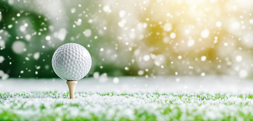 JPG 편집이미지 스포츠 백그라운드 티셔츠 겨울 골프 모션 골프장 자연 놀이 골프공 잔디 장면 흐림 편집실사 AI컴퓨터그래픽 AI콘텐츠 식물 계절 셔츠 공 스포츠시설 날씨 골프용품 구기 CG 생태계 파일형식