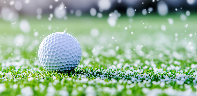 JPG 편집이미지 스포츠 겨울 골프 자연 골프공 풍경 잔디 취미 야외 운동 흰색 편집실사 AI컴퓨터그래픽 AI콘텐츠 식물 계절 컬러 공 골프용품 건강 구기 CG 생태계 파일형식