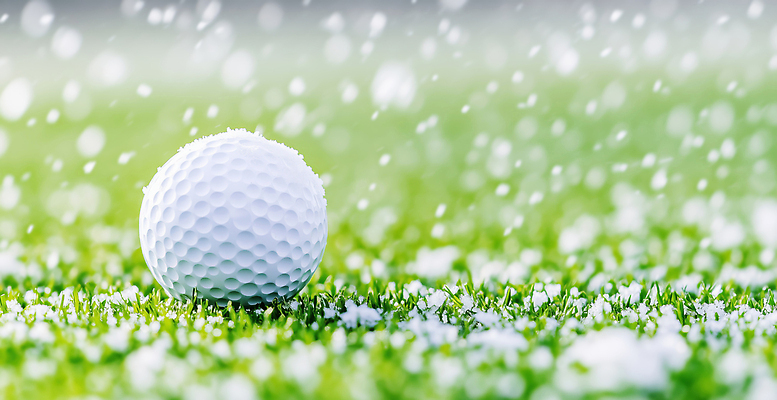 JPG 편집이미지 스포츠 겨울 골프 공 자연 필드 날씨 골프공 경기 잔디 취미 흰색 장면 편집실사 AI컴퓨터그래픽 AI콘텐츠 식물 계절 컬러 골프용품 구기 CG 생태계 파일형식