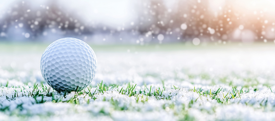 JPG 나무 편집이미지 스포츠 겨울 골프 자연 골프공 풍경 잔디 야외 운동 햇빛 산책 흰색 눈내림 편집실사 AI컴퓨터그래픽 AI콘텐츠 식물 계절 컬러 공 휴식 골프용품 눈_날씨 건강 태양 구기 CG 생태계 파일형식