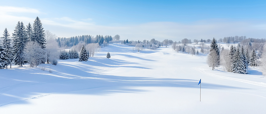 JPG 나무 편집이미지 스포츠 겨울 골프 골프장 자연 휴식 풍경 야외 흰색 겨울풍경 편집실사 AI포토 AI콘텐츠 식물 계절 컬러 컨셉 스포츠시설 구기 CG 생태계 파일형식
