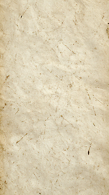 컨셉 문화예술 CG 생태계 파일형식 종이 질감 백그라운드 컬러 빈티지 자료 자연 스크린 모양 디자인 표면 복고 미술 편집실사 편집이미지 JPG