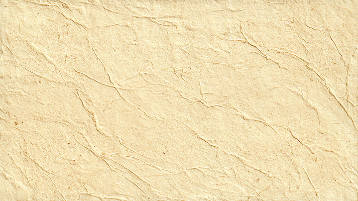 컨셉 CG 생태계 파일형식 종이 백그라운드 질감 자연 디자인 빈티지 그림 문서 장식 편집실사 편집이미지 JPG