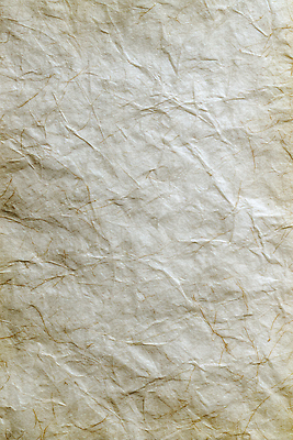 모션 CG 생태계 파일형식 종이 질감 표면 구김 주름 컬러 자연 빛 그림자 재료 예술 디자인 백그라운드 오브젝트 편집실사 편집이미지 JPG