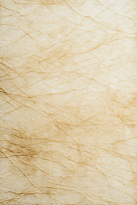 디자인 컬러 무늬 문화예술 CG 생태계 파일형식 종이 질감 베이지색 선 백그라운드 재료 예술 자연 미술 창작 패턴 제조 인테리어 촬영 편집실사 편집이미지 JPG