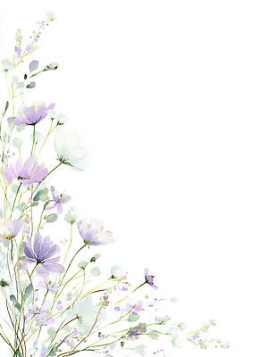 JPG 식물 디자인 꽃 컬러 백그라운드 잎 일러스트 자연 생명 미술 그래픽 환경 그림 화사함 조화 뷰티풀 국내일러스트 AI일러스트 AI콘텐츠 컨셉 문화예술 생태계 파일형식