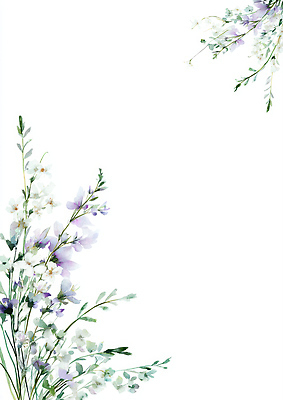 JPG 식물 꽃잎 꽃 화초 예술 컬러 꽃다발 잎 일러스트 자연 생명 수채화 그래픽 장식 여름 봄 흰배경 원예 식물원 꽃말 뷰티풀 국내일러스트 AI일러스트 AI콘텐츠 계절 백그라운드 취미 흰색 생태계 파일형식