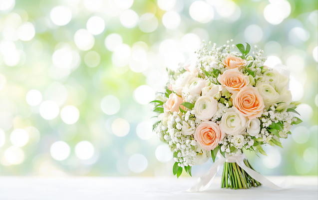 JPG 식물 편집이미지 꽃 꽃다발 부케 결혼 백그라운드 자연 탁자 결혼식 선물 이벤트 장식 장미 봄 생일 편집실사 AI포토 AI콘텐츠 계절 기념일 가구 CG 생태계 파일형식