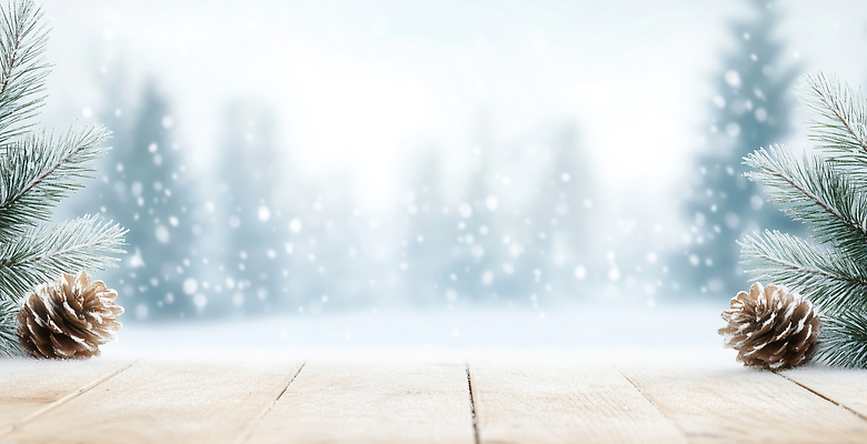 JPG 나무 식물 편집이미지 백그라운드 겨울 자연 바닥 풍경 소리 흰색 차가움 숲 조용 솔방울 흐림 눈보라 편집실사 AI컴퓨터그래픽 AI콘텐츠 계절 컬러 날씨 눈_날씨 CG 생태계 파일형식