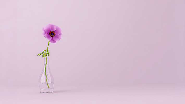 JPG 식물 디자인 꽃 겨울 일러스트 자연 생명 주택 실내 장식 여름 꽃병 보라색 봄 원형 투명 조화 단순화된 뷰티풀 미니멀 국내일러스트 AI일러스트 AI콘텐츠 도형 계절 컬러 내부 건물 생태계 파일형식