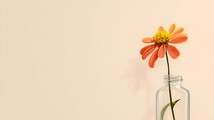 JPG 모양 식물 디자인 꽃 감정 컬러 백그라운드 겨울 일러스트 자연 생명 유리병 장식 여름 주황색 봄 공간 오브젝트 뷰티풀 국내일러스트 AI일러스트 AI콘텐츠 계절 병_용기 생태계 파일형식